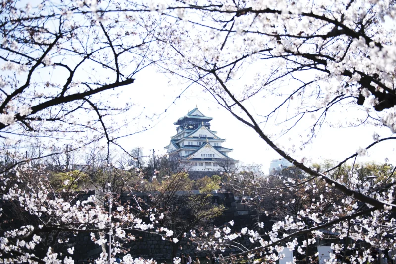 Japón