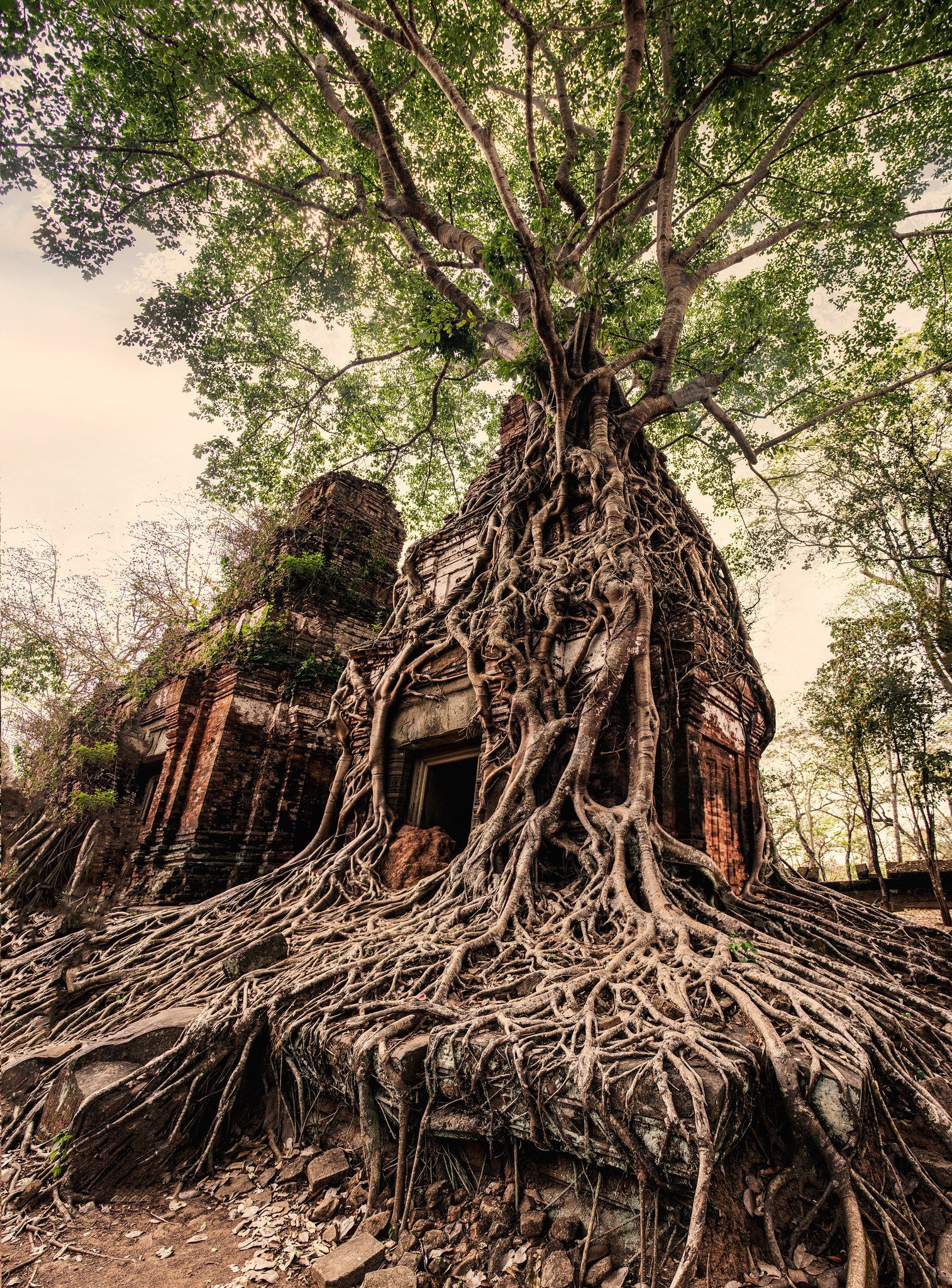 Camboya