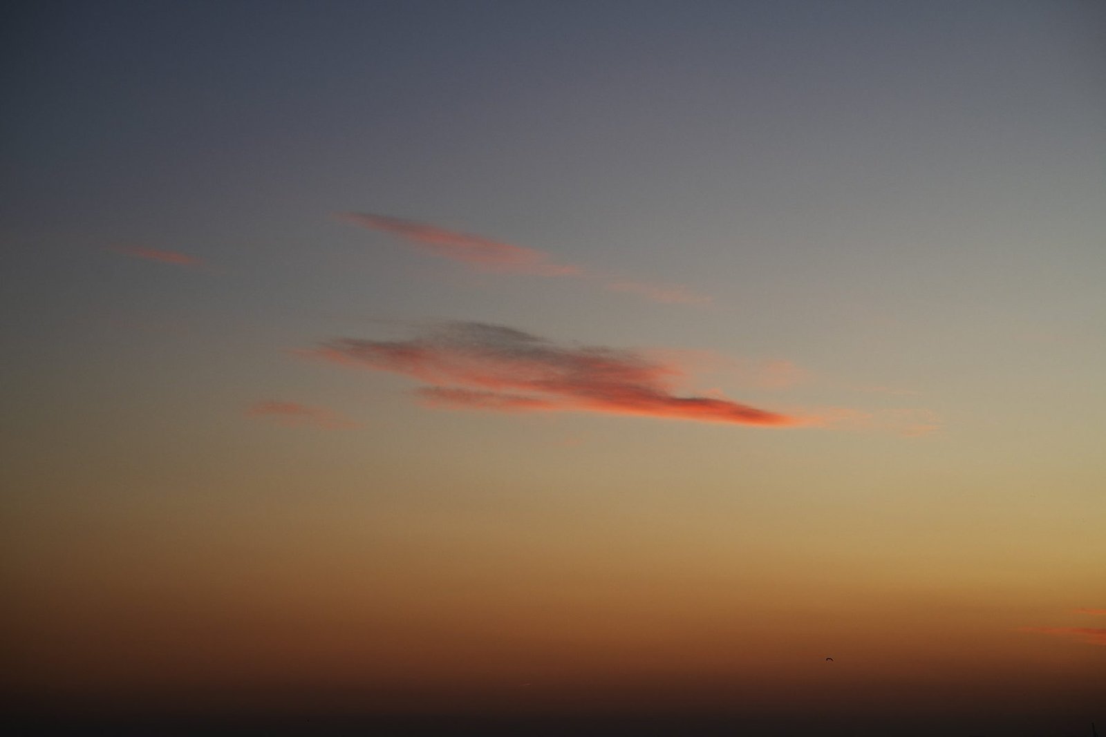 Skies
