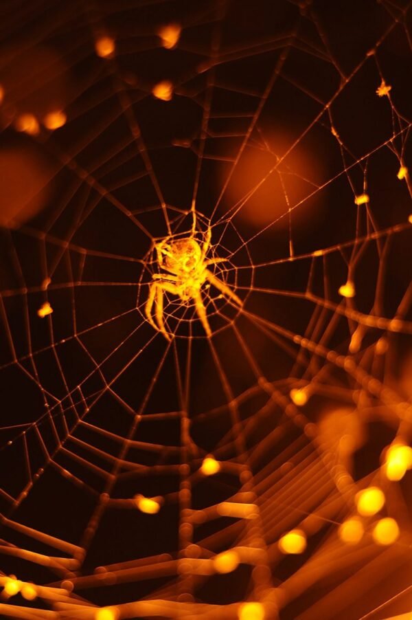 Nature &mdash; Autor 2