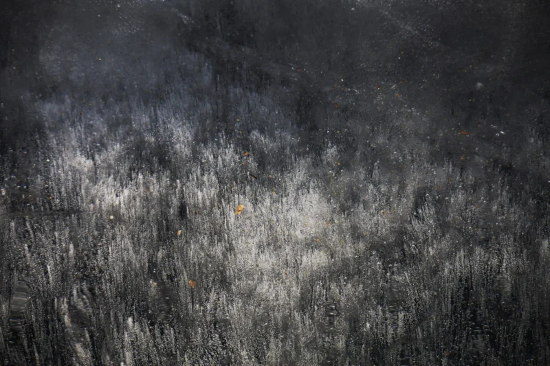 Nature &mdash; Autor 27
