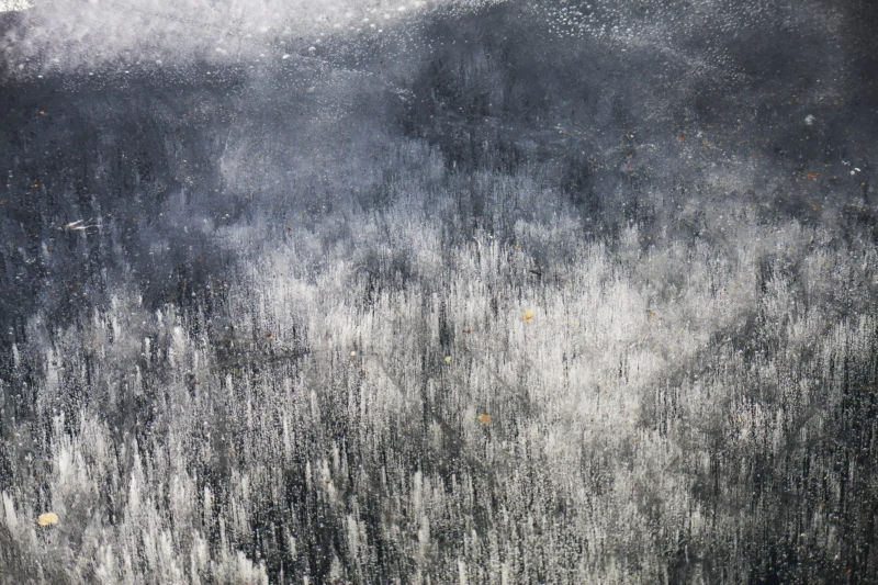 Nature &mdash; Autor 28