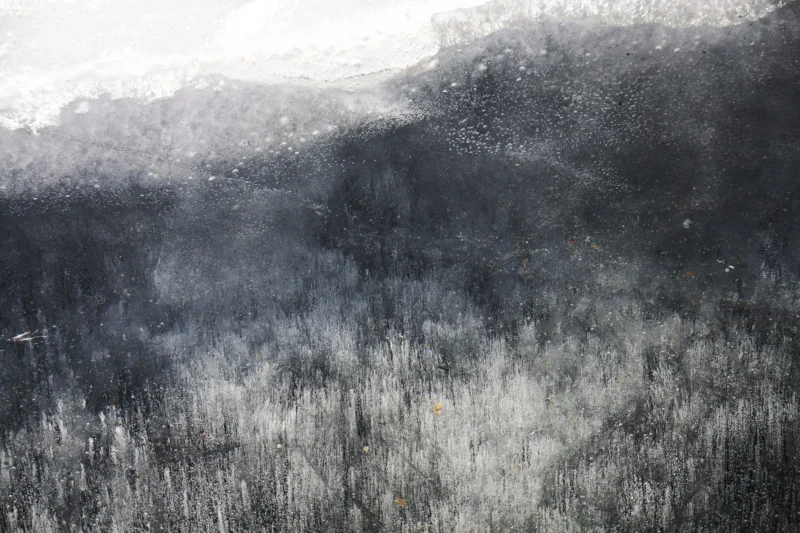 Nature &mdash; Autor 29