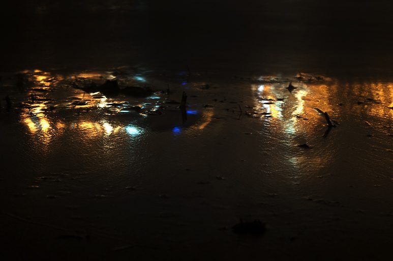Reflections