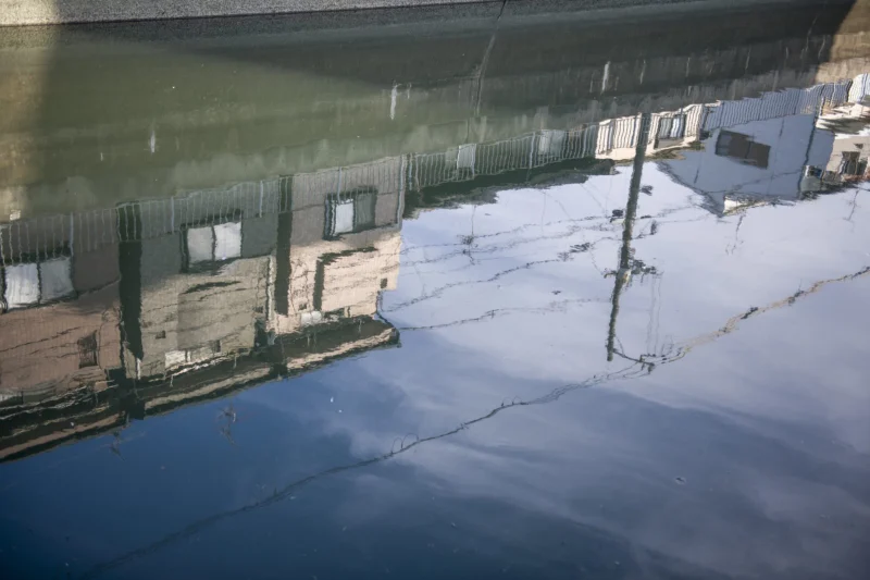 Reflejos &mdash; Autor 8