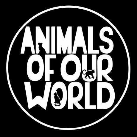 Animals of Our World