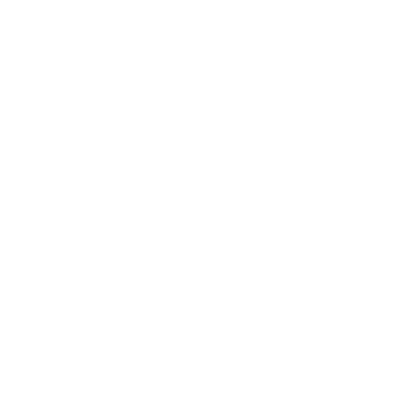 Singapore Airlines