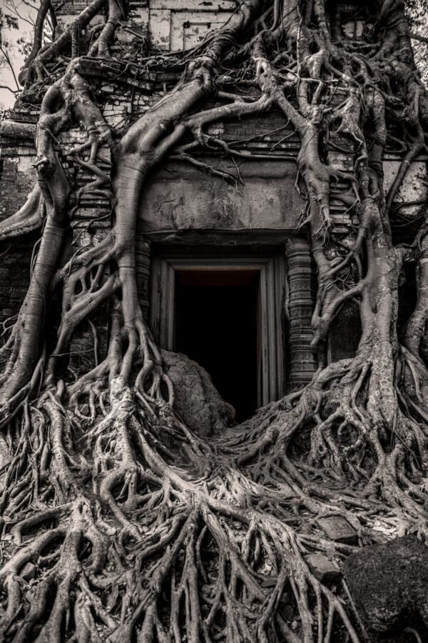 Discovering Angkor &mdash; Producto y Editorial 2