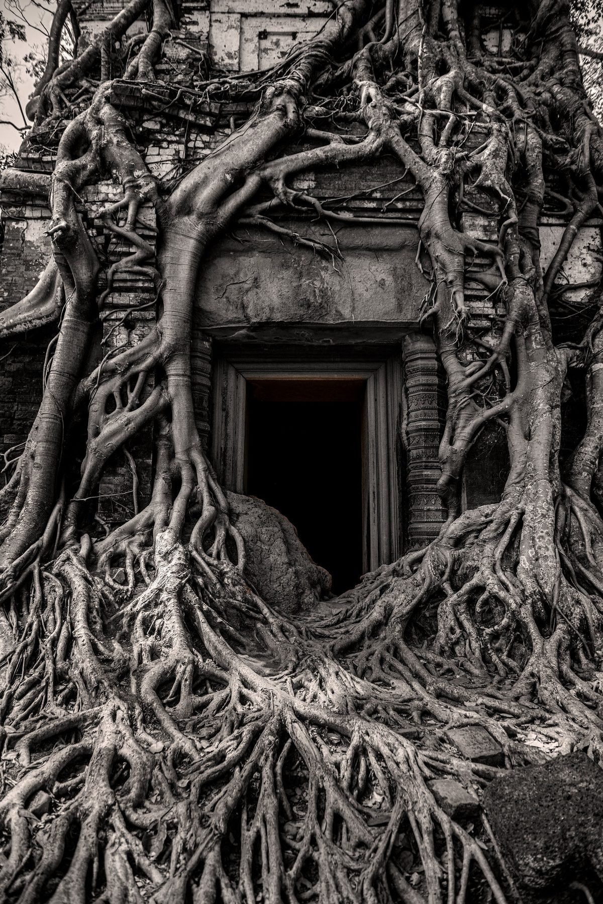 Discovering Angkor — Producto y Editorial 2