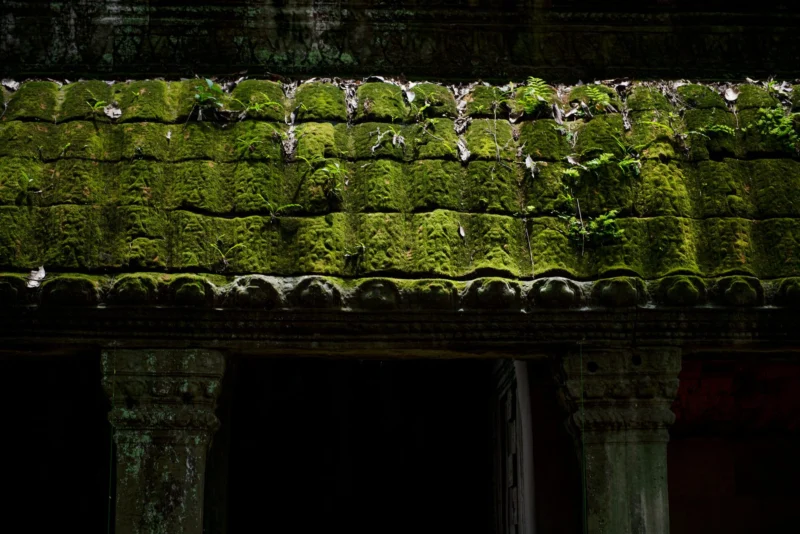 Discovering Angkor &mdash; Producto y Editorial 8