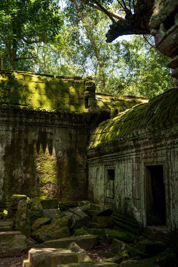 Discovering Angkor &mdash; Producto y Editorial 10