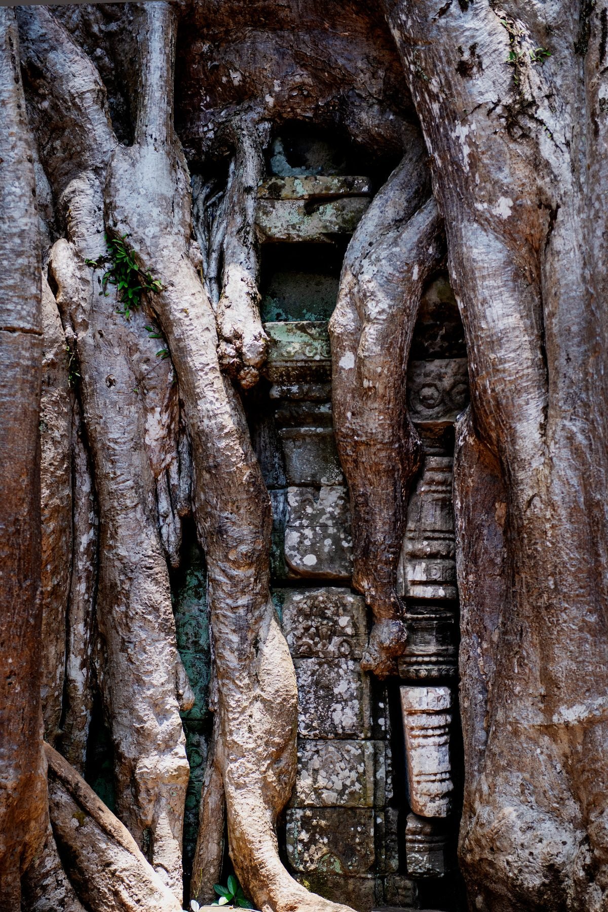Discovering Angkor — Producto y Editorial 12