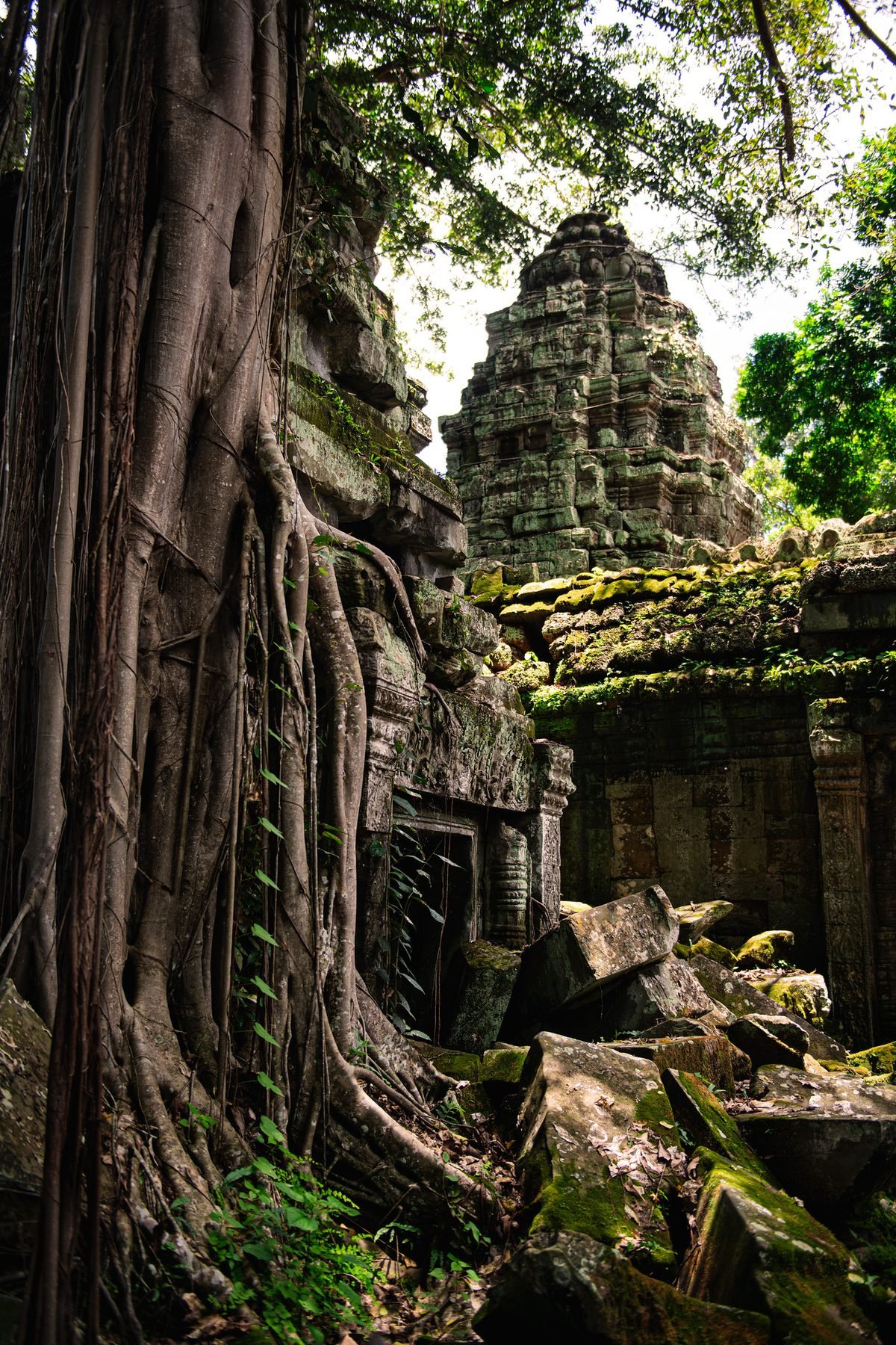 Discovering Angkor — Producto y Editorial 14