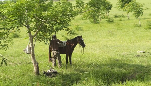 La Cuba de sus gentes &mdash; Producto y Editorial 3