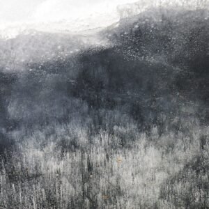 Bosque de invierno II