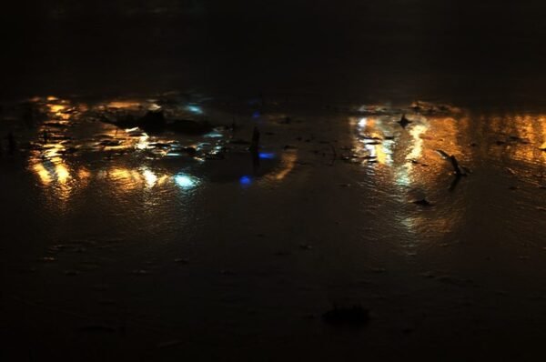 Reflejo I