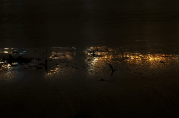Reflejo II