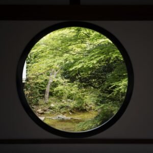 Japan Points of View I