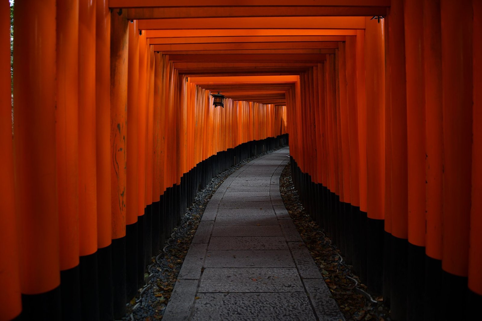 Japan Points of View V