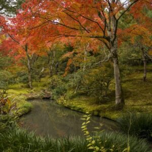 Otoño en Kioto II