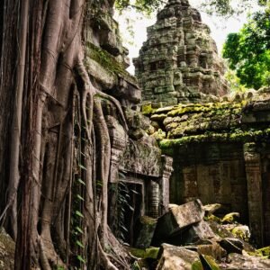 Angkor X