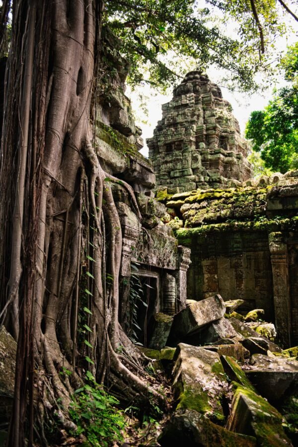 Angkor X