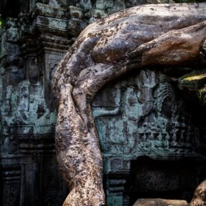 Angkor XII