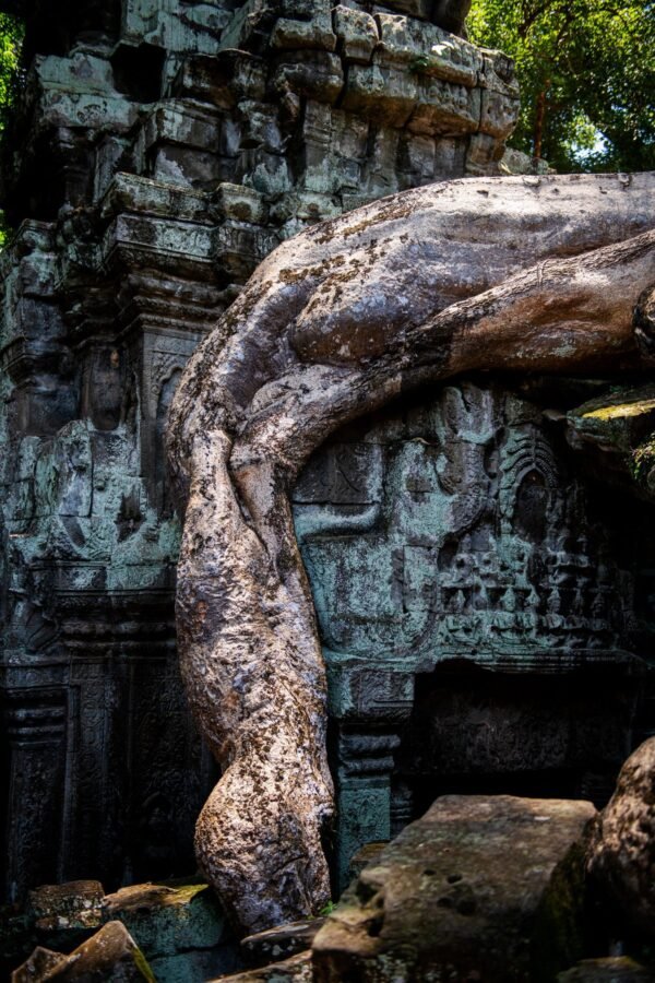 Angkor XII