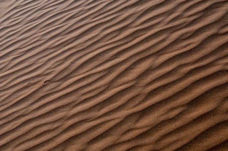 Arena II